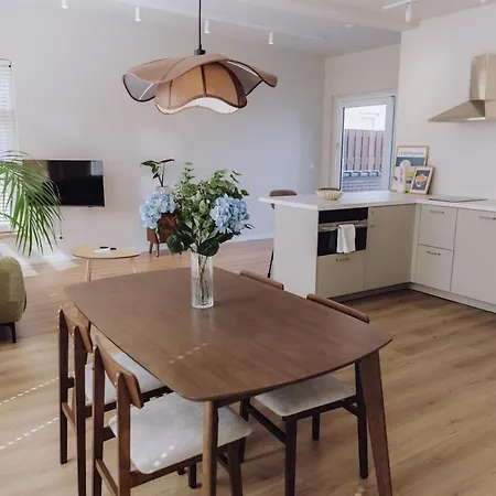 In The Center Of Apartamento Maassluis